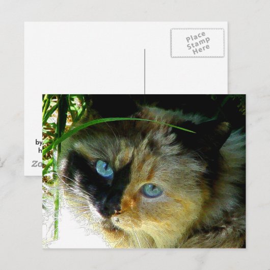 甘いパイ ポストカード (正面/裏面)