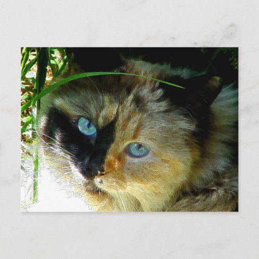 甘いパイ ポストカード (正面)