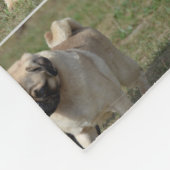 甘いパグ犬 フリースブランケット (角)