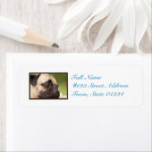 甘いパグ ラベル (インサイチュ)