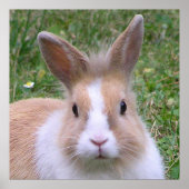 甘いパン ポスター (正面)