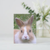 甘いパン ポストカード (スタンド正面)