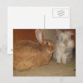 甘いパン ポストカード (正面/裏面)