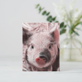 甘いピッグピンク ポストカード (スタンド正面)