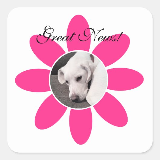 甘いピンクの花枠のかわいい白い子犬 スクエアシール (正面)