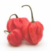 甘いピーマン シール (正面)