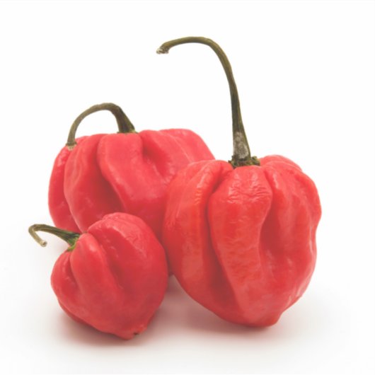 甘いピーマン シール (正面)