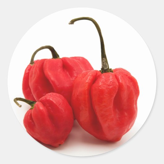 甘いピーマン ラウンドシール (正面)