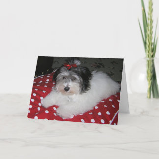 甘いブルックリンのメッセージカード カード