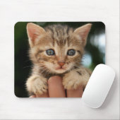 甘いベビーの子ネコ マウスパッド (マウス)