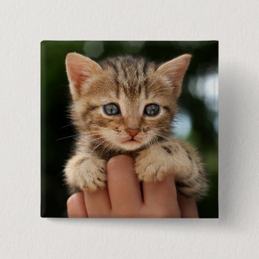 甘いベビーの子ネコ 缶バッジ (正面)