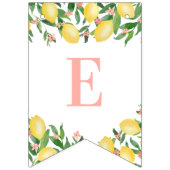 甘いベビーガールピンクレモンシトラスベビーシャワー バンティングフラッグ (第3の旗)