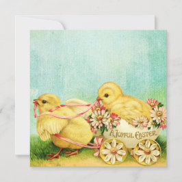 甘いベビーチックイースターカードパーソナライズ文字 シーズンカード