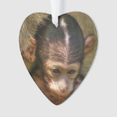 甘いベビー猿 オーナメント (正面)