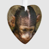 甘いベビー猿 オーナメント (正面)