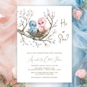 甘いベビー鳥ジェンダーがパーティーを明かす 招待状