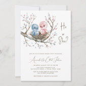 甘いベビー鳥ジェンダーがパーティーを明かす 招待状 (正面)