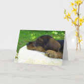 甘いベビー-かわいいダックスフントの子犬 カード (黄色い花)