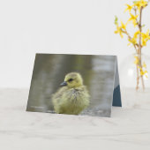 甘いベビー カード (黄色い花)