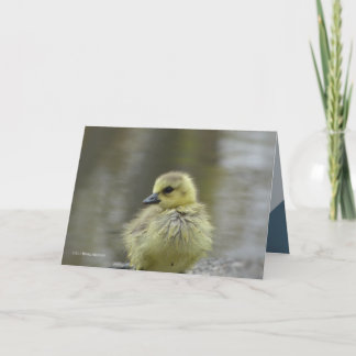 甘いベビー カード