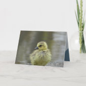 甘いベビー カード (正面)