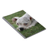 甘いボクサーの子犬 ノートブック (右側)