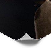 甘いマグノリアポスター ポスター (角)