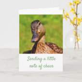 甘いマラードアヒル カード (黄色い花)