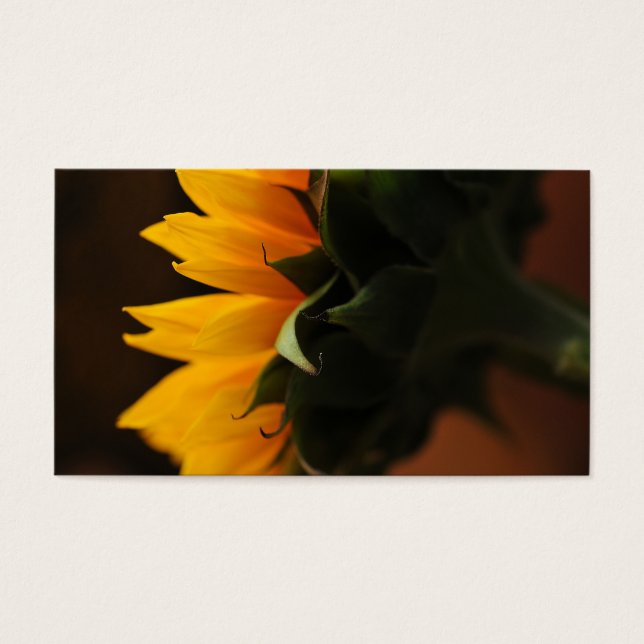 甘いメモ（ひまわり） (正面)