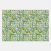 甘いライム模様の包み紙 ラッピングペーパーシート (正面3)