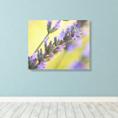 甘いラベンダー キャンバスプリント (インサイチュ (ウッドフロア))