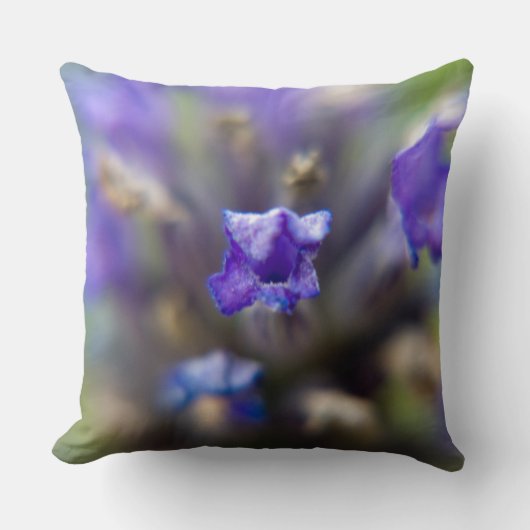 甘いラベンダー クッション (正面)