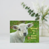 甘いラム シーズンポストカード (スタンド正面)