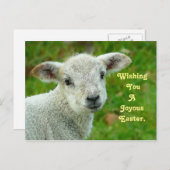 甘いラム シーズンポストカード (正面/裏面)