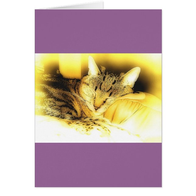 甘いリトルインジゴ (正面)