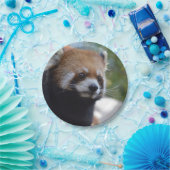 甘いレッサーパンダくま ペーパープレート (パーティー)