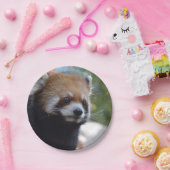 甘いレッサーパンダくま ペーパープレート (パーティー)