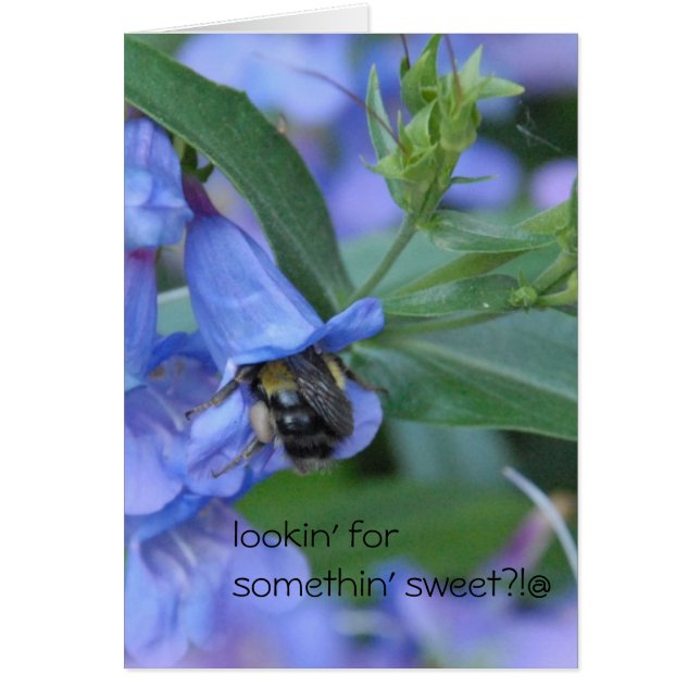 甘い何かのためのlookinか。か。 (正面)