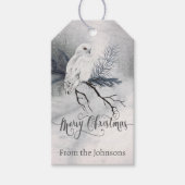 甘い冬のフクロウのクリスマスパーソナライズされた ギフトタグ (正面)
