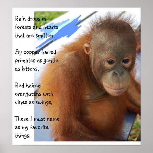 甘い動物のお気に入り ポスター (正面)