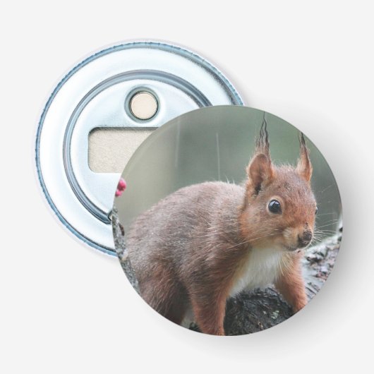 甘い動物 栓抜き (正面)