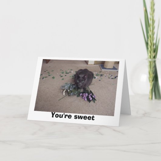 甘い友人 サンキューカード (正面)