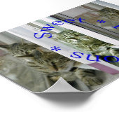 甘い反射 ポスター (角)