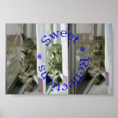 甘い反射 ポスター (正面)