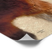 甘い古いポニーホース – 馬とポニー ポスター (角)