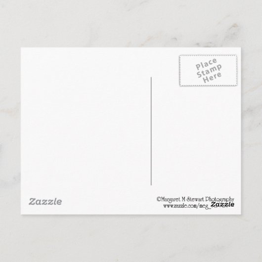 甘い命を与えるキャンディーフレームのレシピ ポストカード (裏面)