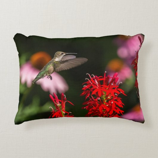 甘い夏 アクセントクッション (正面)