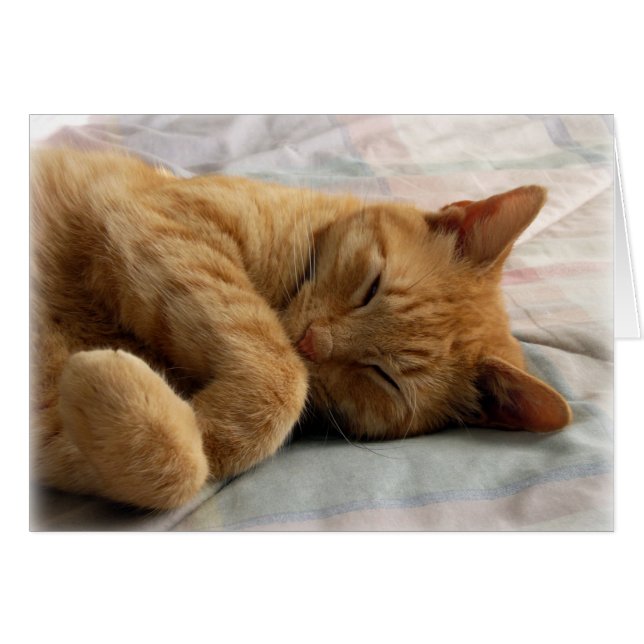 甘い夢 (正面横)