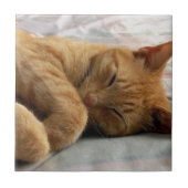 甘い夢 タイル (正面)