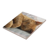 甘い夢 タイル (側面)